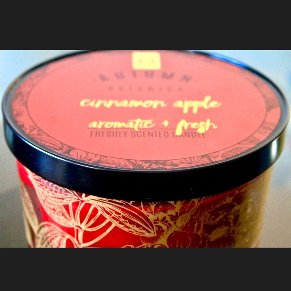 HAVEN STREET CANDLE CINNAMON APPLE RICHLY SCENTED NEW